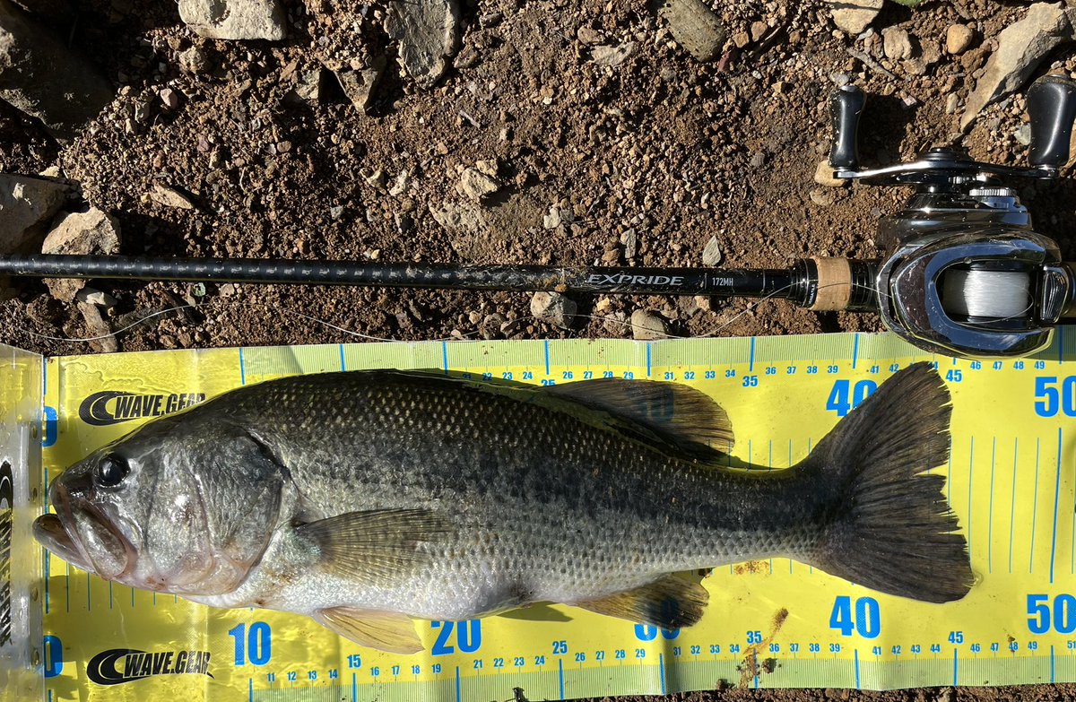 PonPonPointe's tweet photo. リザーバーへ🎣

2wayのホバストで51cm、49cm

コイケフルキャスト(SM)で45cm！ https://t.co/A3BsRZOkuq