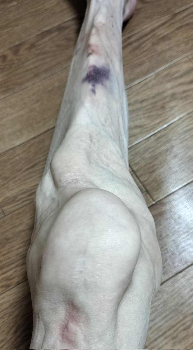 🇯🇵東雲長閑 tweet media