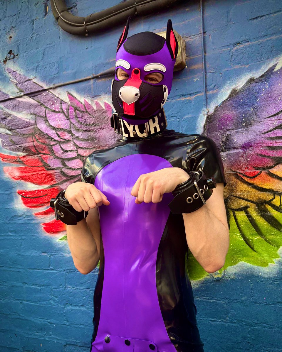 I’m a good boy, yes?

📸: <a href="/PupNeo_/">PupNeo</a>