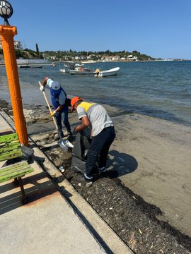Didim’de Mavişehir Sahili Temizlendi