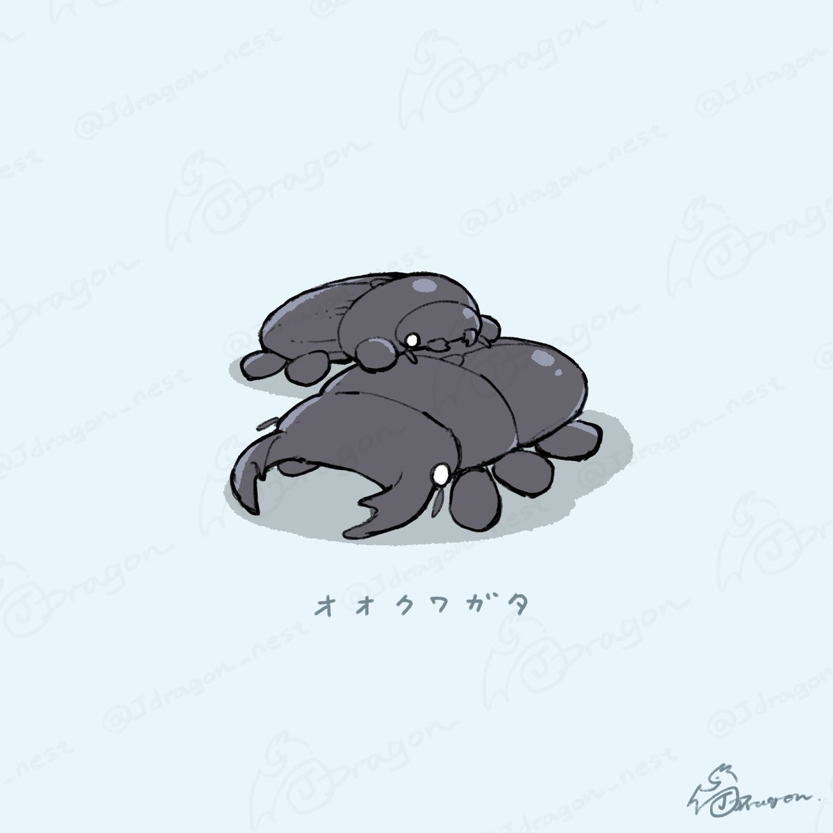 Jdragon_nest's tweet image. ニジイロクワガタとオオクワガタのペアをそれぞれお迎えしましたお絵描き。久々のクワガタ飼育
#まるころかぶくわ