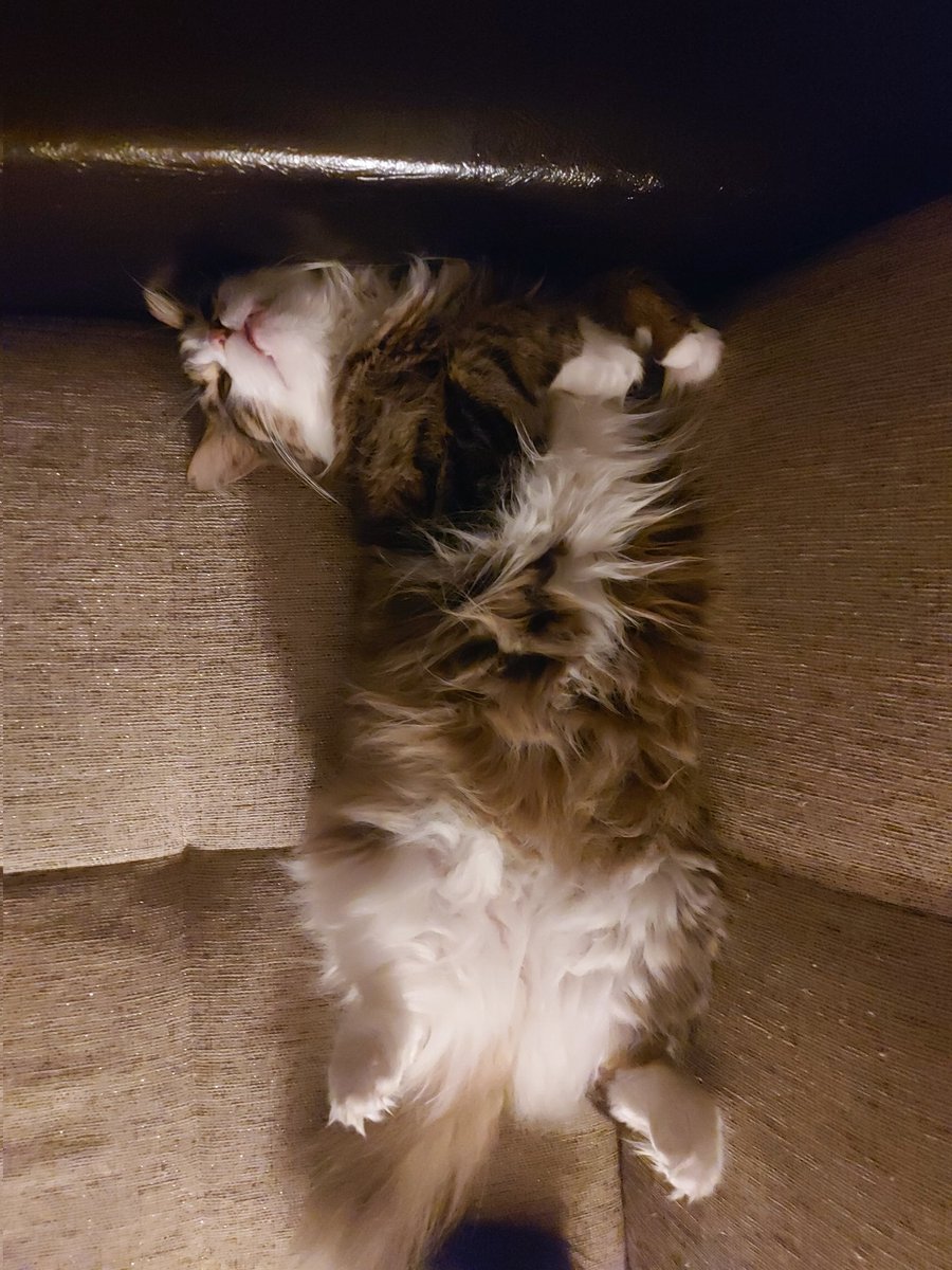 Evet böyle uyuyunca büyüyorlar 😍