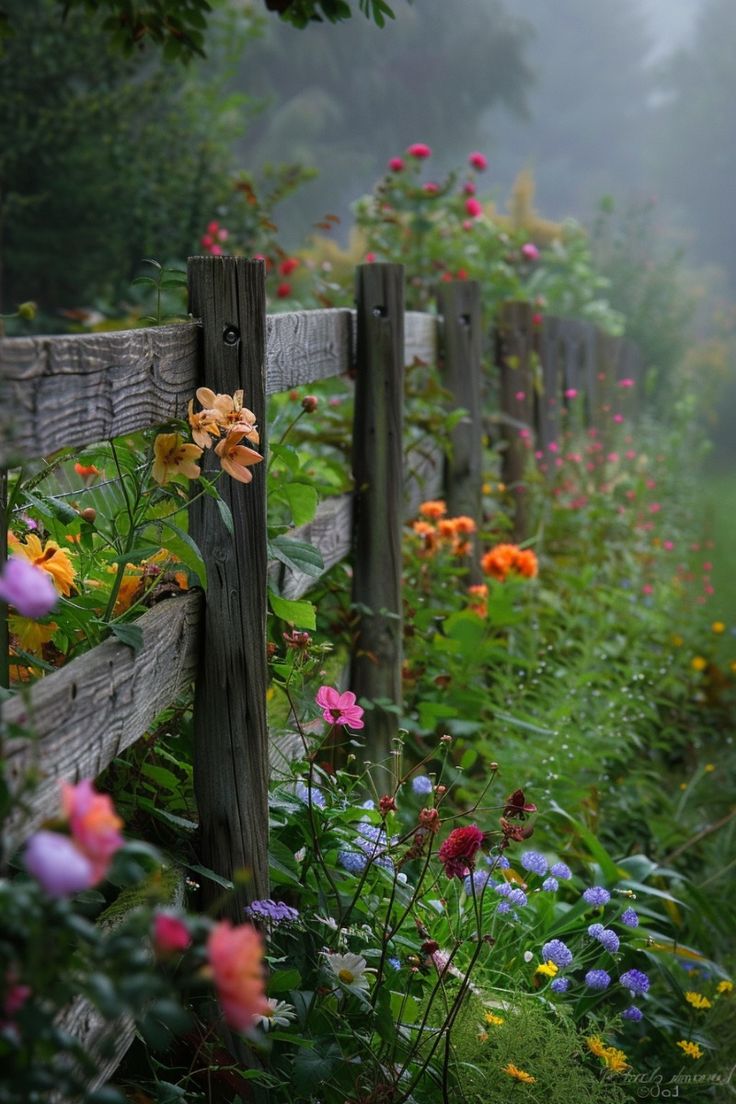 Nature_Views02's tweet image. So beautiful ❤️❤️