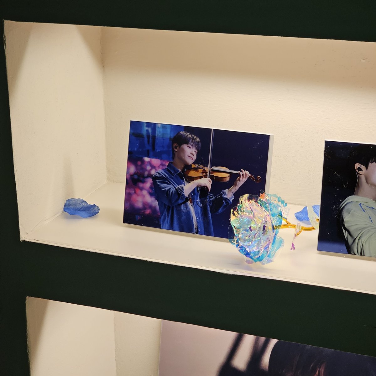 lucyranie's tweet photo. 역시 사랑은 참 아름다워 
오랜시간 준비하고, 피워내고, 사랑하고 
참 멋진 일이야...🩵

#Violinarium_별의선율
#예찬이라서_고마워 https://t.co/qbMapNzwcT