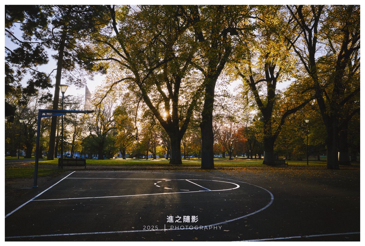 晨光下的球場