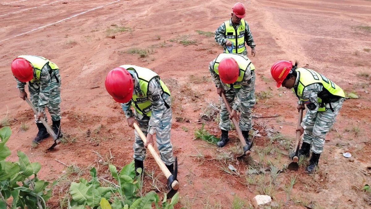 GJ. Domingo Hernández Lárez tweet media