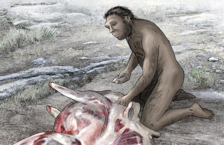 Qui furent les premiers Européens ?
Os humains, découpe de viande, visage fossile…
De la Géorgie à l’Espagne en passant par la Roumanie, les indices s’accumulent mais les mystères restent.
✒️Jacques Daniel
👉 bit.ly/Peuplement-Eur…
#Archéologie #Préhistoire #HomoErectus #Europe
