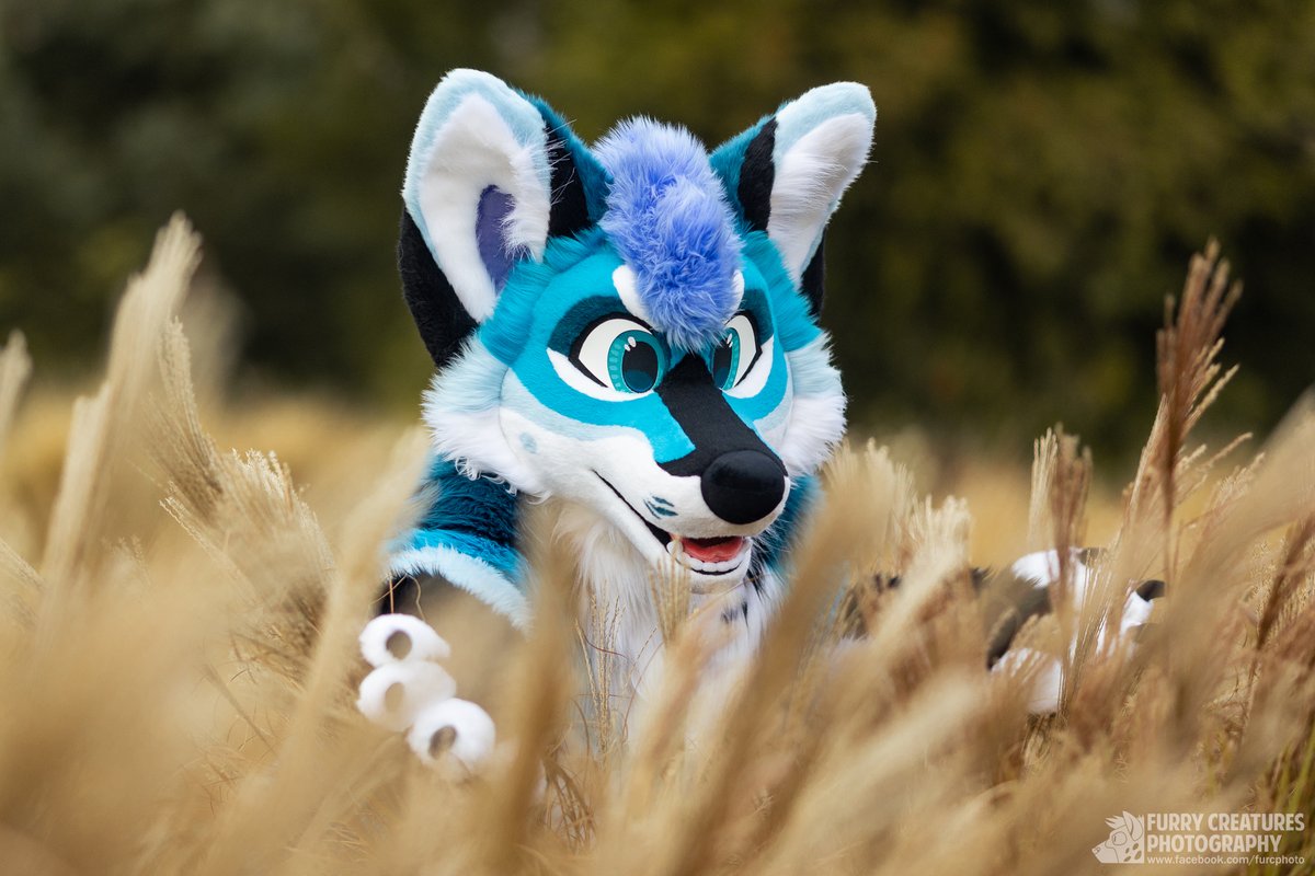 Summer vibes.

🐺 <a href="/CiferJackal/">Cifer♦Jack♠️Darcus</a> 
✂️ <a href="/Fionka_Fursuits/">🐈 Fionka Fursuits 🐈</a>