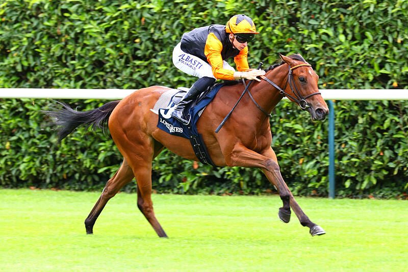 JEUDIXX 🥇

Prix de la Reine Blanche Longines - Chantilly
2f Hello Youmzain <a href="/Haras_d_Etreham/">Haras d'Etreham</a> x Got Storm
Née et élevée au Haras de Treli.
Félicitations à tout l’entourage !
<a href="/InfoArqana/">ARQANA</a> <a href="/pouchinalexis/">pouchinalexis</a>