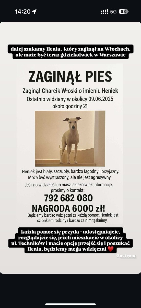 Dvrkine tweet media