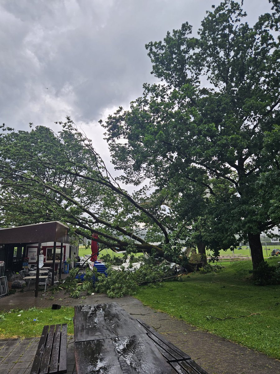 Ja, in Solothurn mindestens 100 km/h 💨😁