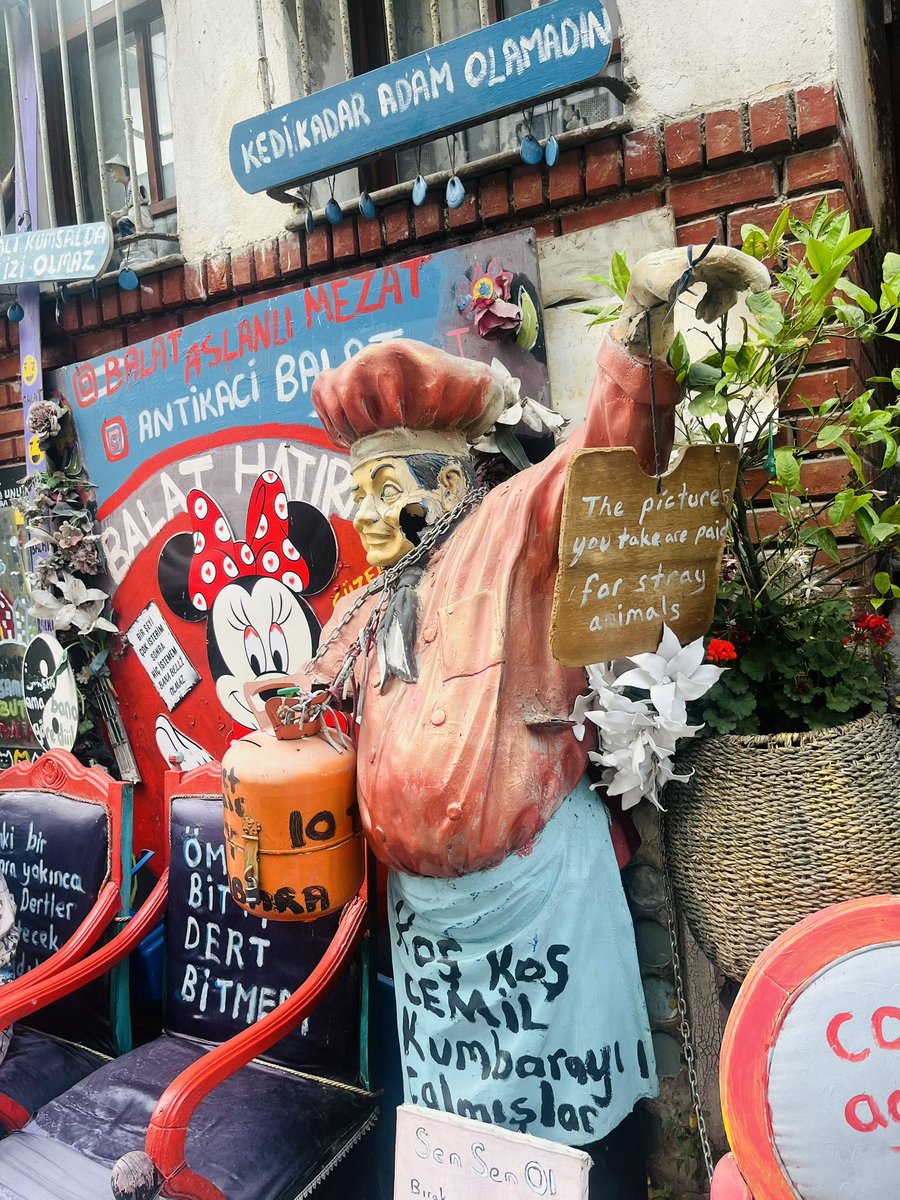 Balat’ın renkli sokaklarında tarih ve kültür bir arada… Her köşesi ayrı bir hikaye, her adımda geçmişin izleri. İstanbul’un kalbinde saklı bir hazine gibi… 🌿✨
#Balat #İstanbul #Tarih #RenkliSokaklar  #Gezgin #BalatGezisi #SokakSanatı #TarihiMekan #TravelTurkey #İstanbulKeşif