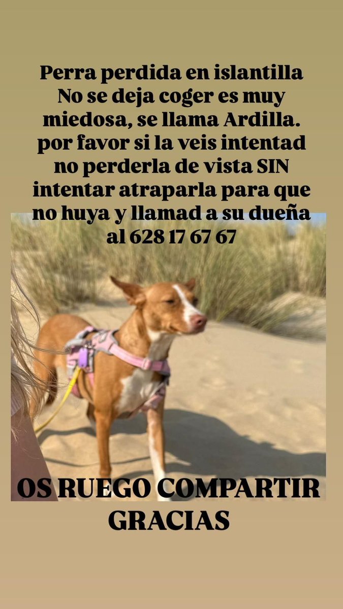 Difundimos caso externo.

#pérdida.