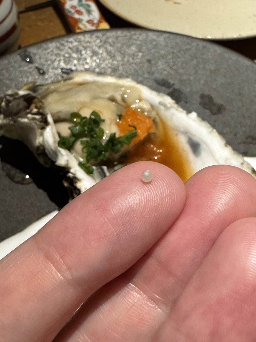 YoshidaBeer's tweet image. 生牡蠣食べたらガリッって言ったから見てみたら白い球が。。牡蠣って真珠作るんですかね?とりあえず丸くて白く輝いてて驚くほど硬くて歯が欠けるかと思ったw