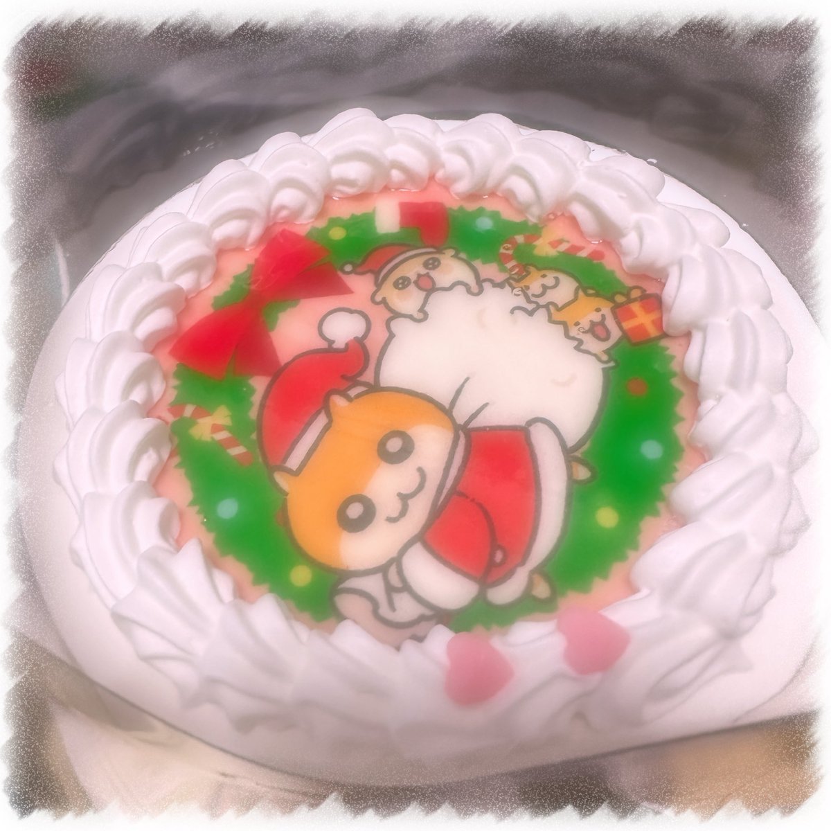 去年のクリスマスハムケーキ🎂🐹🎄
今年も食べたい⊂( ᴖ ̫ᴖ)⊃💖
 #クソハムちゃん