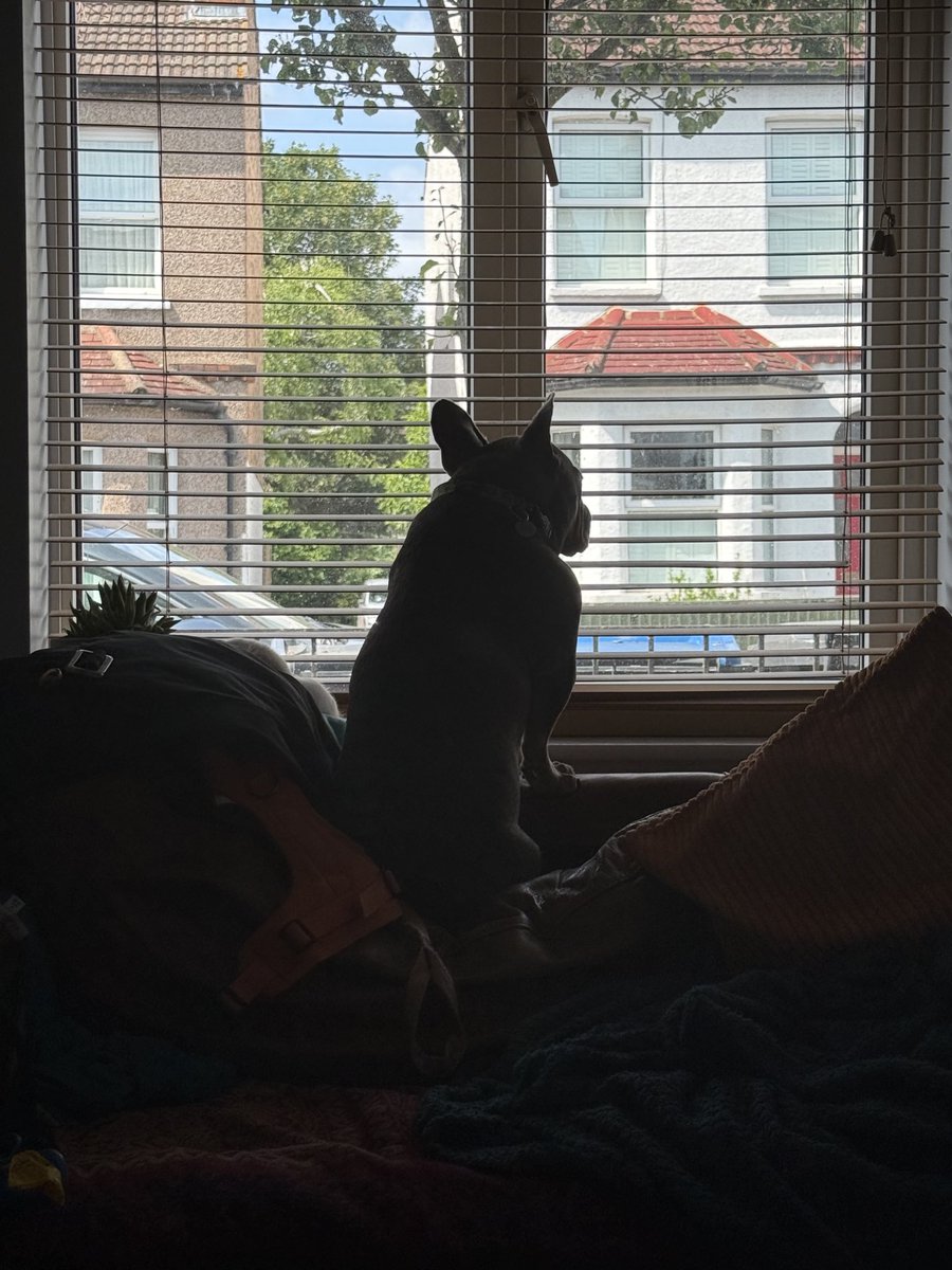 Keeping the neighbourhood safe.