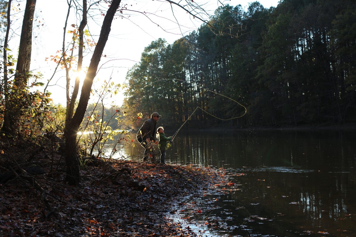 Amazing Studios tweet media