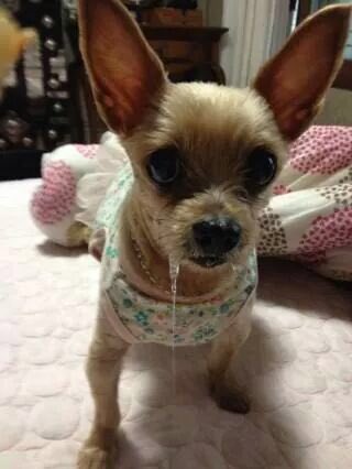 보노 (@mulbonoyo) on Twitter photo 