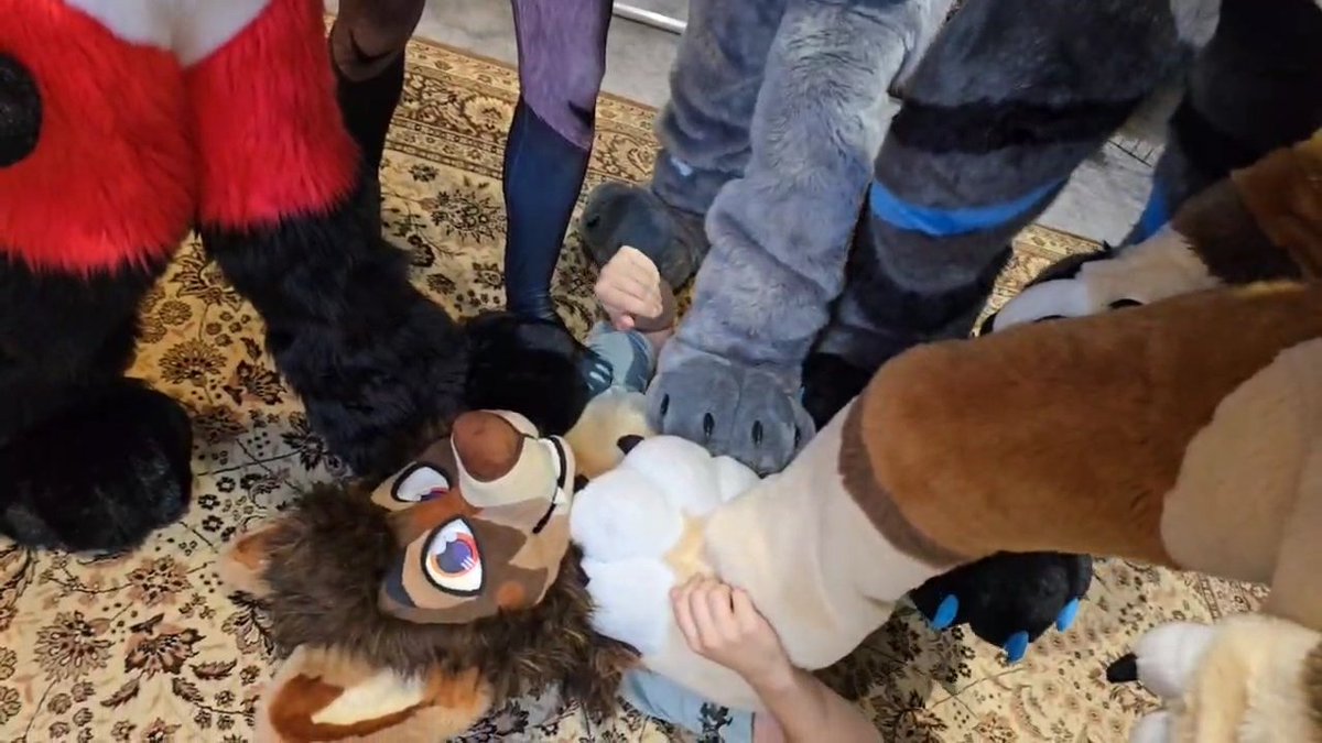 Atlas Beardog (@atatatlas) on Twitter photo Requirement to be stepped on at every gathering of suiters
<a href="/AkitoFusky/">Akito</a> <a href="/skittleshusk/">Swizz / Skittles ๐ฎ๐ช ๐ Animalz, DBC, EF</a> <a href="/InfinityFloof/">Infinity</a> <a href="/DelayDoggo/">Delay Doggo</a> <a href="/TibbleTheFox/">Tibble the Fox</a> Requirement to be stepped on at every gathering of suiters
<a href="/AkitoFusky/">Akito</a> <a href="/skittleshusk/">Swizz / Skittles ๐ฎ๐ช ๐ Animalz, DBC, EF</a> <a href="/InfinityFloof/">Infinity</a> <a href="/DelayDoggo/">Delay Doggo</a> <a href="/TibbleTheFox/">Tibble the Fox</a>