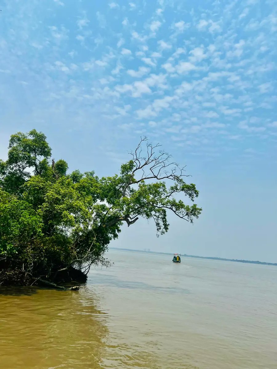 কিছু কিছু দৃশ্য আপনাকে ভুলিয়ে দিবে আপন ঠিকানা,আপনাকে নিয়ে যাবে অন্য এক জগতে................