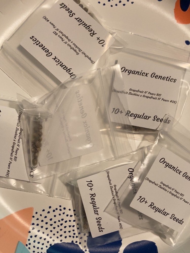 Happy Father’s Day 
Let’s giveaway some seeds. (US only)
Like, retweet , follow and tag as bonus. Goodluck 💨🤍