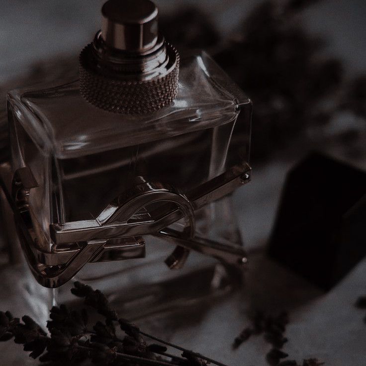 darkxlestrange's tweet image. 