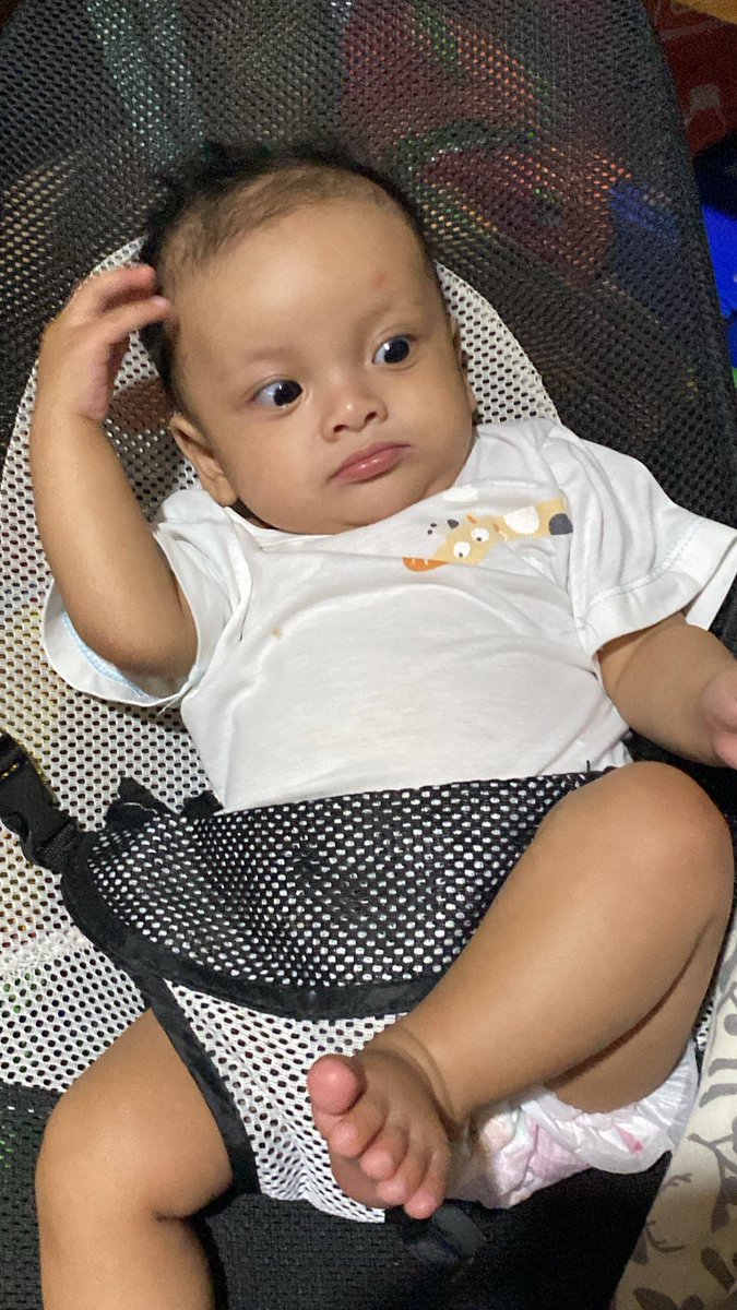 _nixplease's tweet photo. Spamming my feed wth Sia’s cuteness! https://t.co/16zoM5BZRo