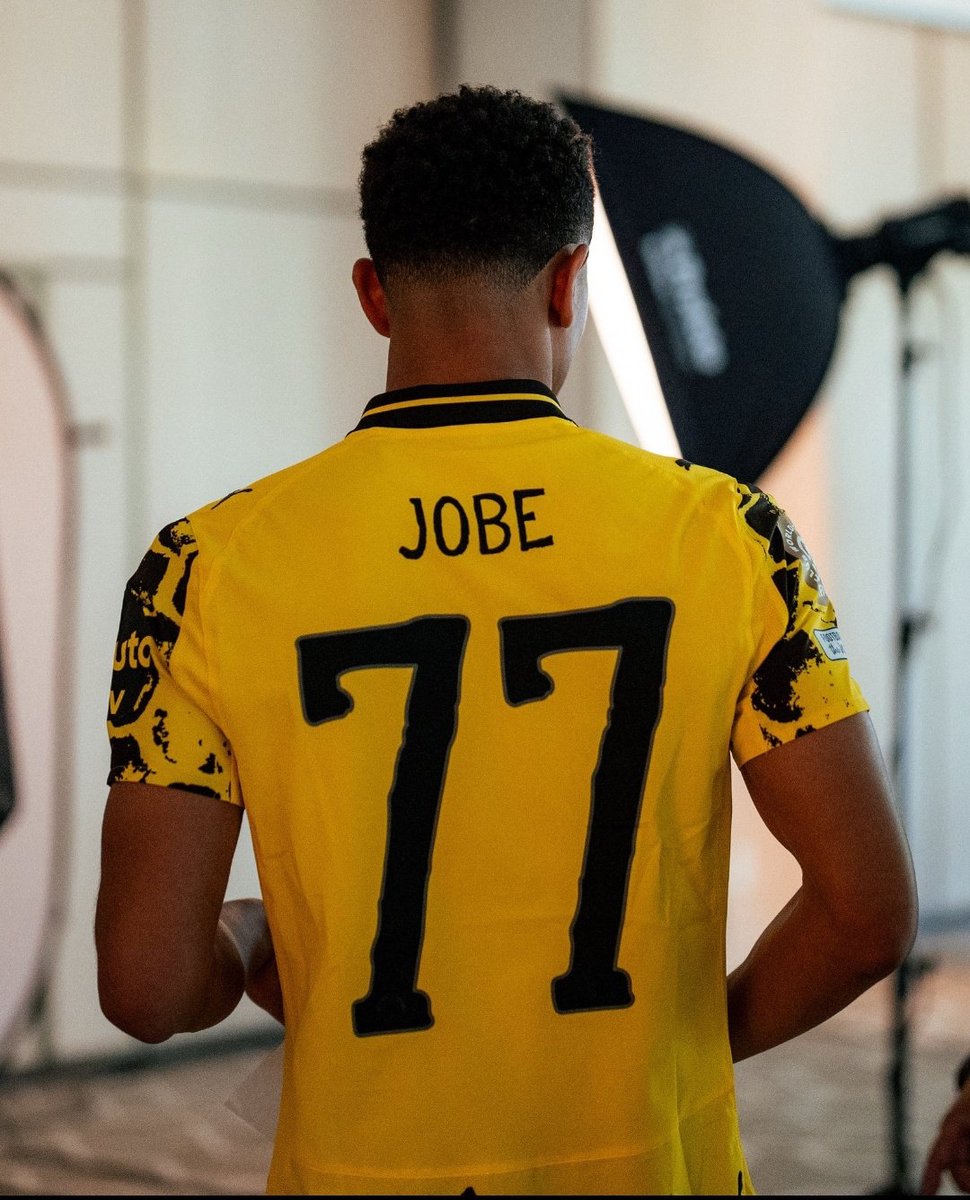 erik 🖤💛 ein Tannenzapfen tweet media