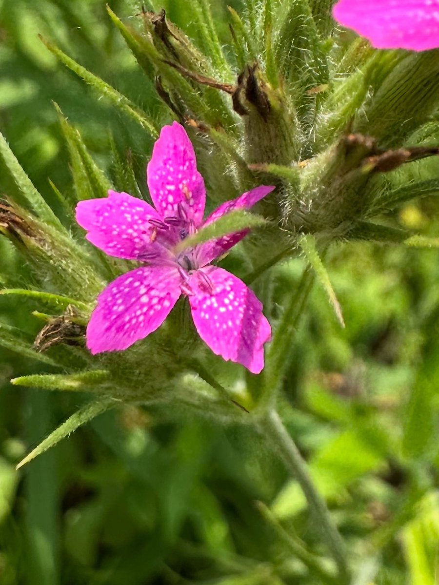 I found in the mountains