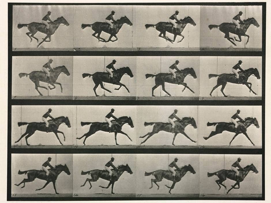 #OnThisDay in 1878, Eadweard Muybridge took this series of images of a racehorse in motion. A former governor of California reportedly had bet on whether all the hooves were airborne at once, and hired Muybridge to settle the debate:  publicdomainreview.org/collection/the… #OTD