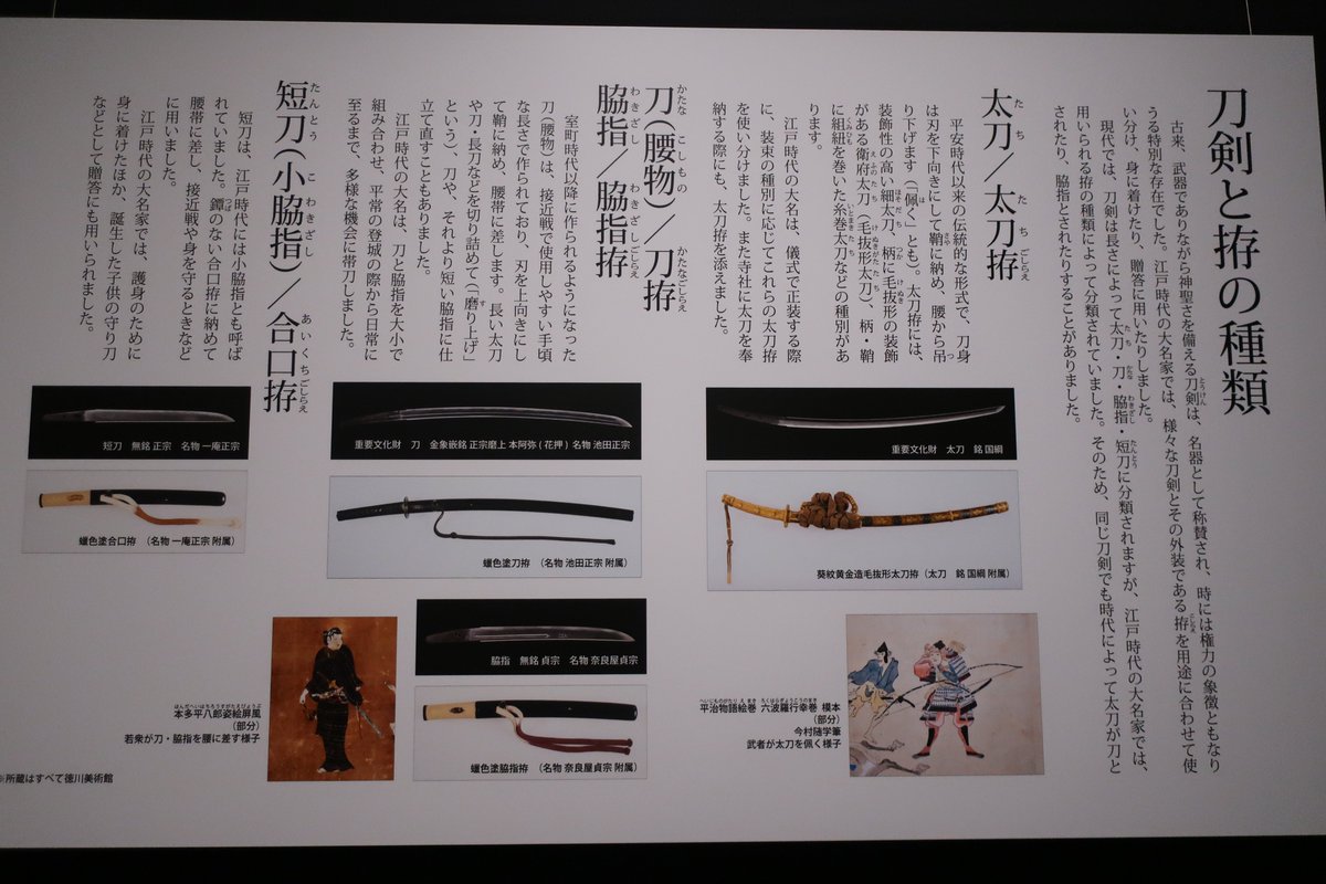 最初の御部屋で拵えの展示があったよ！ 流石徳川家って言いたくなる