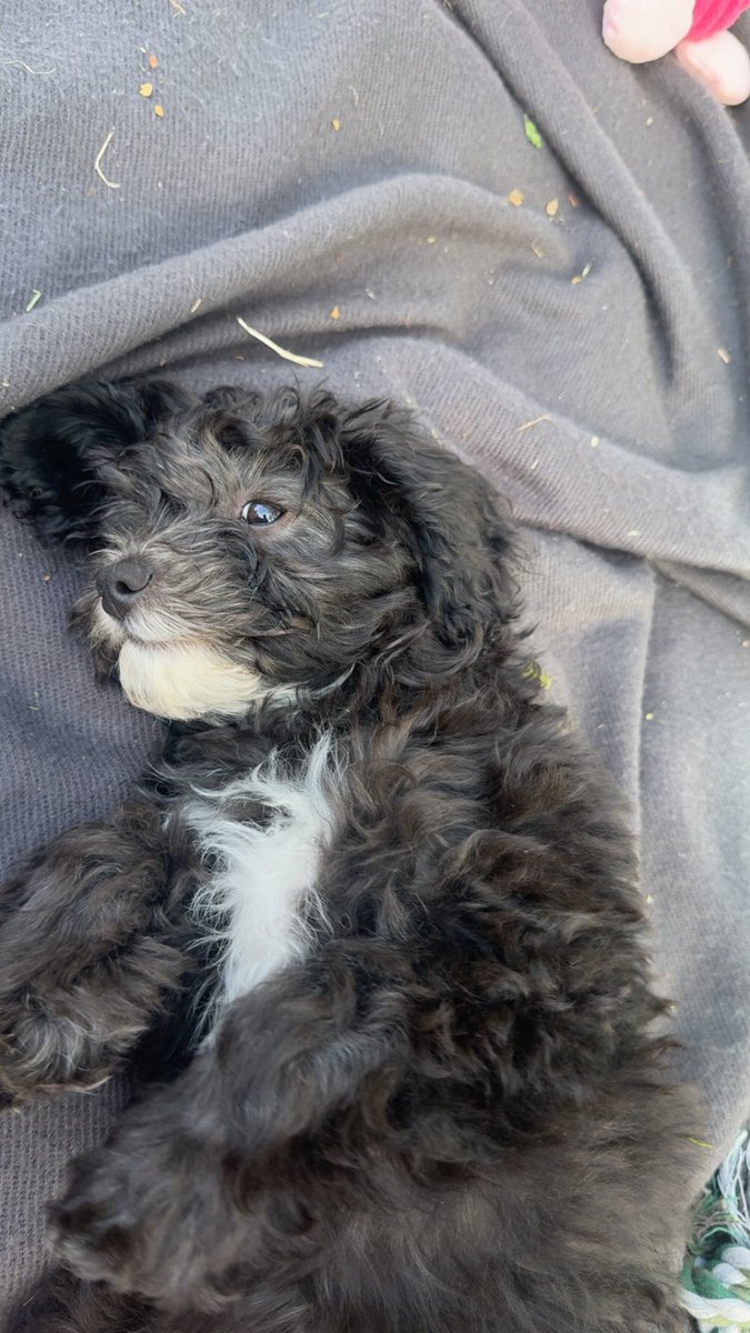 Jennifer Wiker tweet media