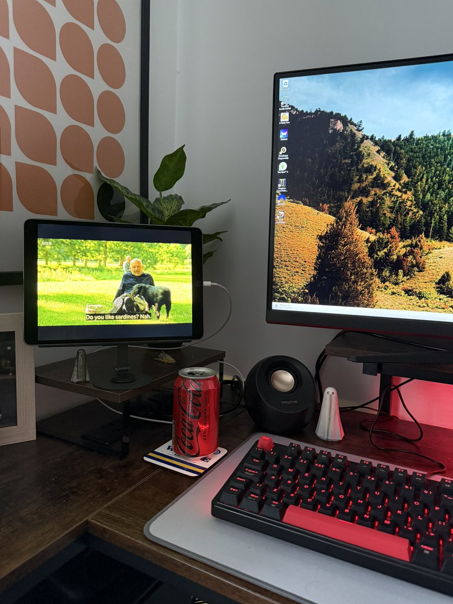 Current status: doing all my school work last-minute because I chose happiness all weekend 🥲