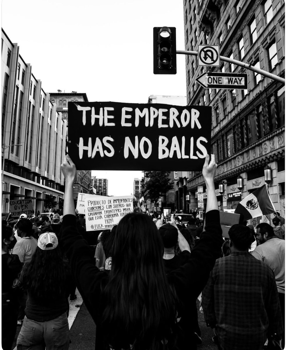 ItsLondonDee's tweet photo. The #NoKingsDay gave me ideas for placards for when that vile orange clown comes for a state visit in Britain🤣
#NoKingsInAmerica
#NoKings #TACOTrump https://t.co/uAm5slb0vL