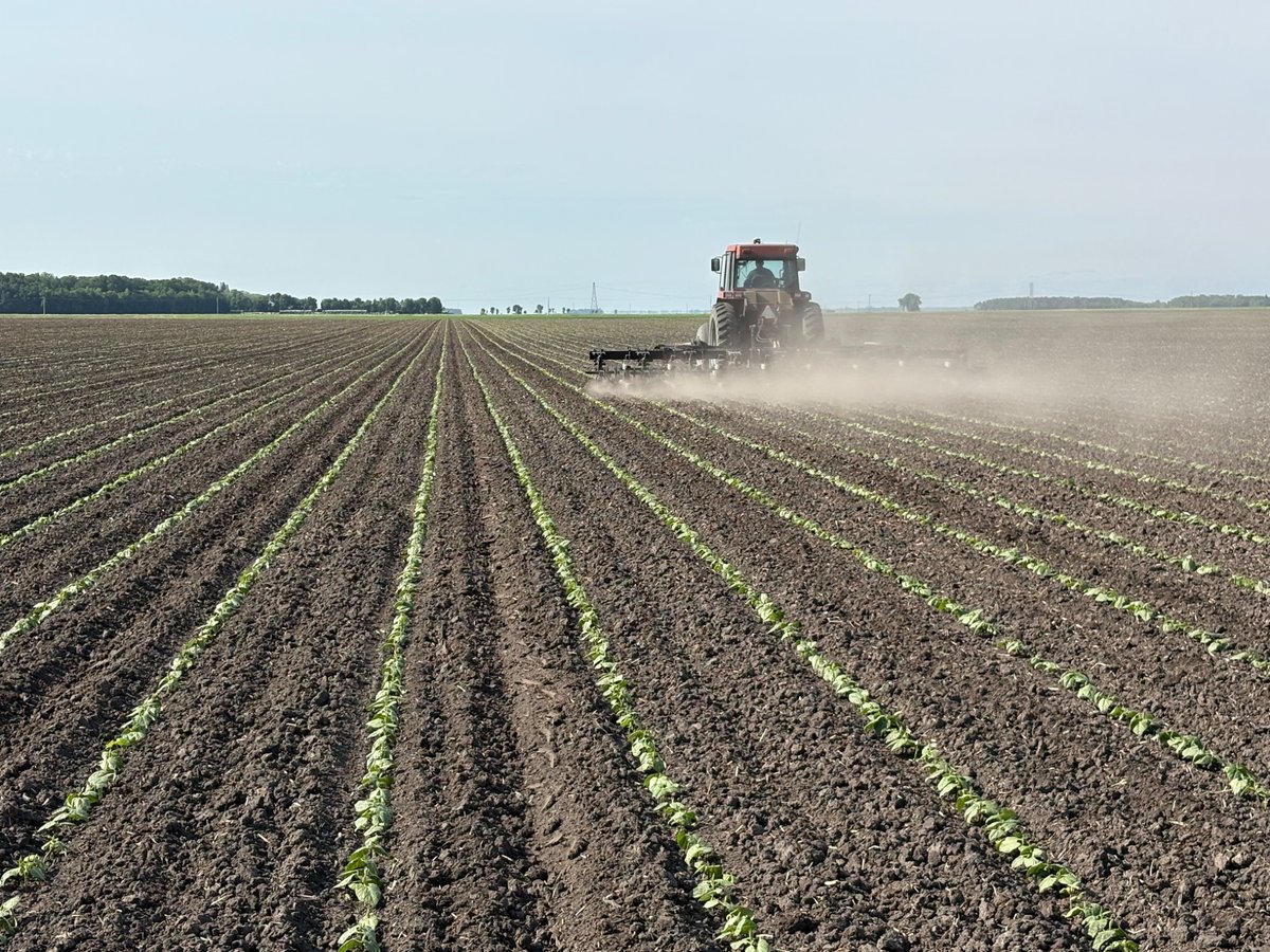 Not bad for a $10k RTK set up