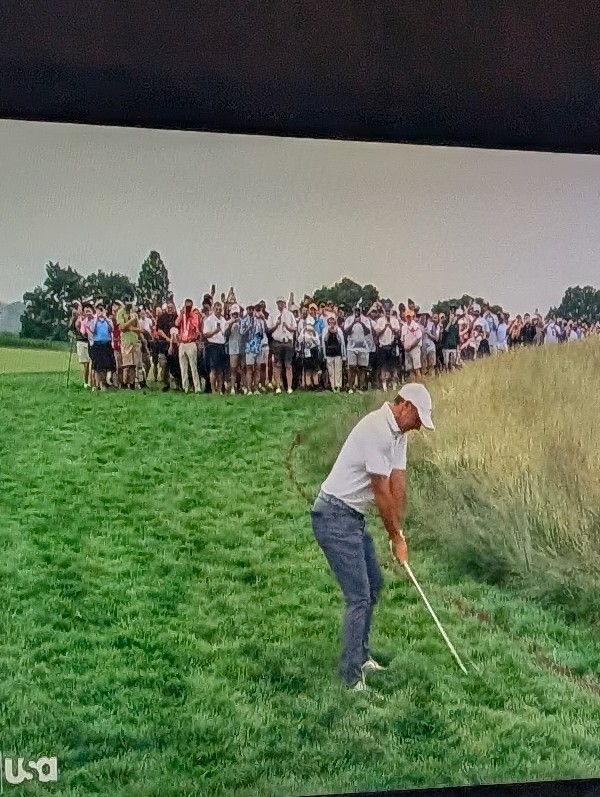jay_vaccaro's tweet photo. @KylePorterNS #NormalSport https://t.co/1zqGLuKRFR