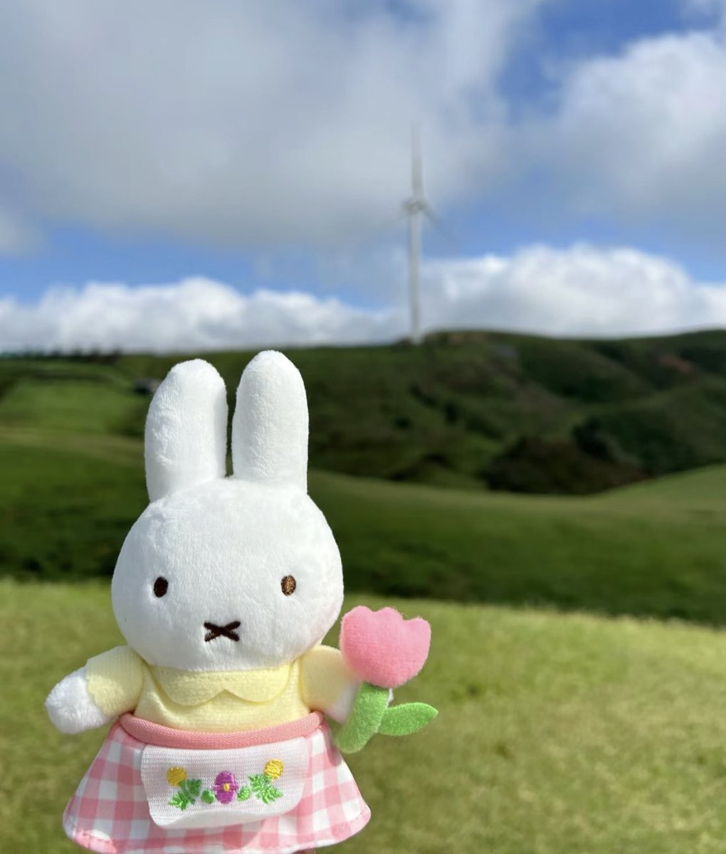 cdoll's tweet photo. tulip miffy https://t.co/w6hzZArqjR