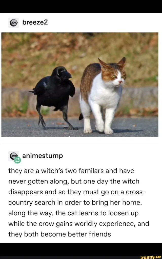 WholesomeMemes tweet media