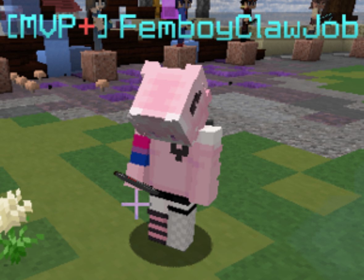 WorstMinecraftNames tweet media