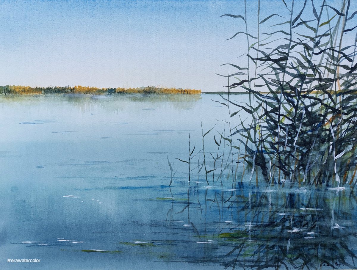 Lakeside reeds.
#art #naturelovers #lake #summer #painting #watercolor