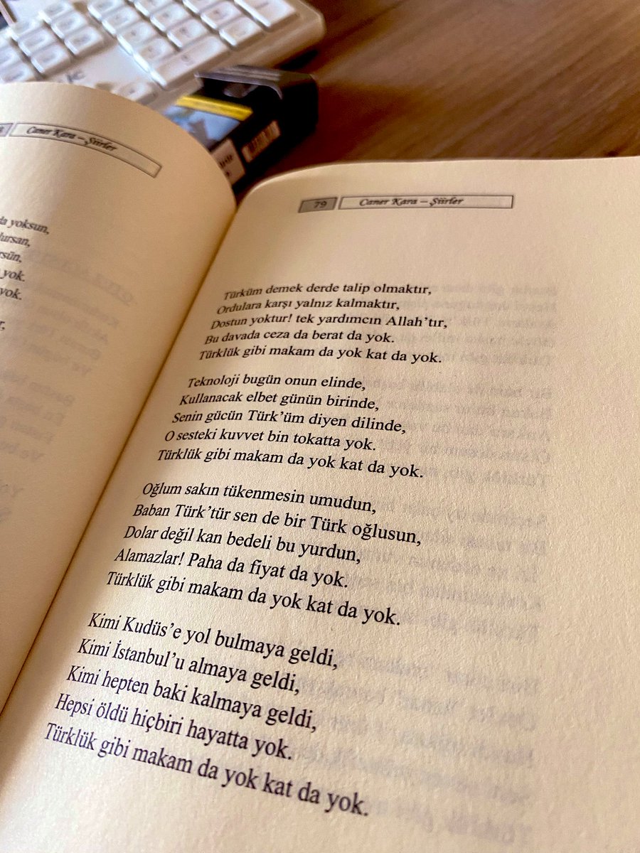 “Türküm demek derde talip olmaktır,
Ordulara karşı yalnız kalmaktır,
Dostun yoktur! tek yardımcın Allah'tır,
Bu davada ceza da berat da yok.
Türklük gibi makam da yok kat da yok.”