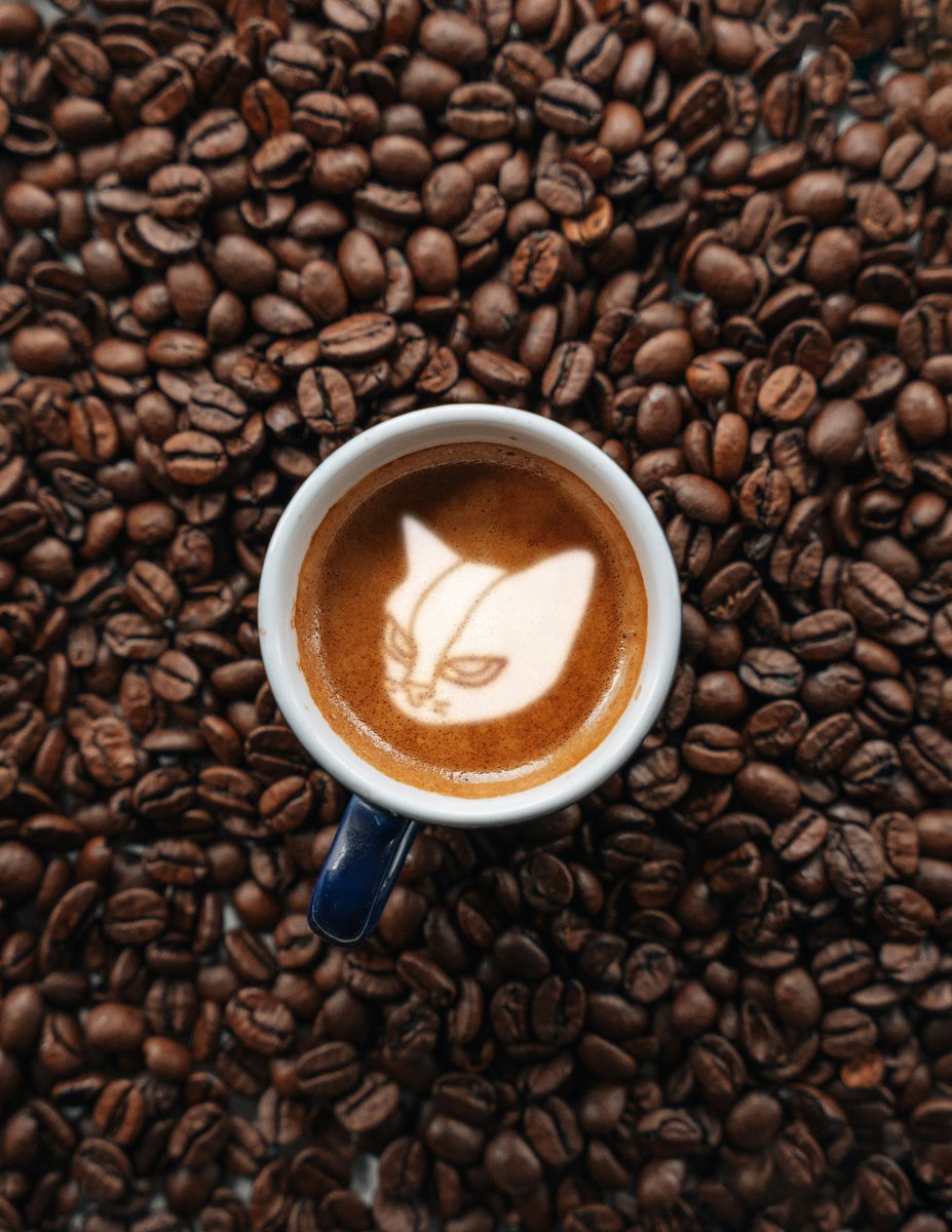 Cointel_io's tweet photo. Sunday = Caffeine + COINTEL.

Sip. Scroll. Spot the trends. 📈☕ https://t.co/oMk1bn9Qa9