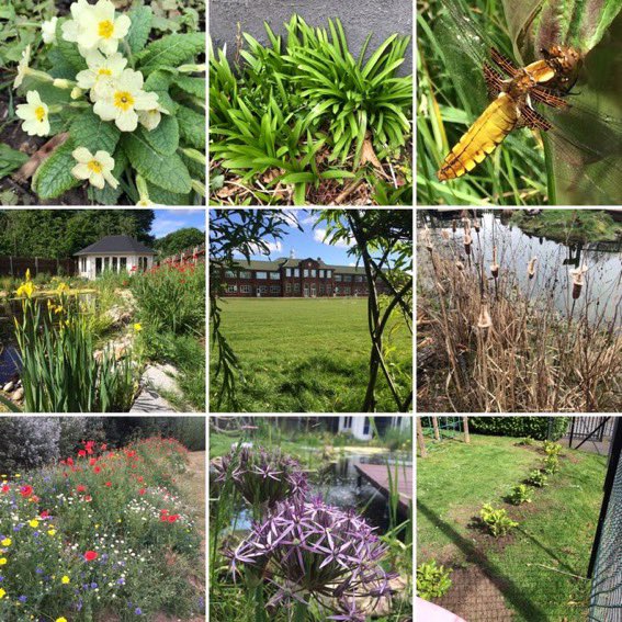It’s not too late to join the Grounds day team next Saturday 21st June for a couple of hours helping to improve our grounds even more.