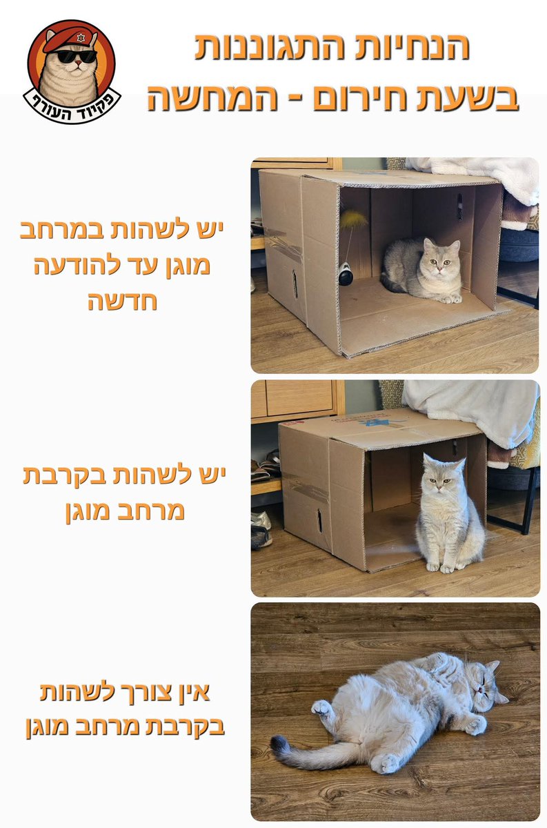 הנחיות עם המחשה