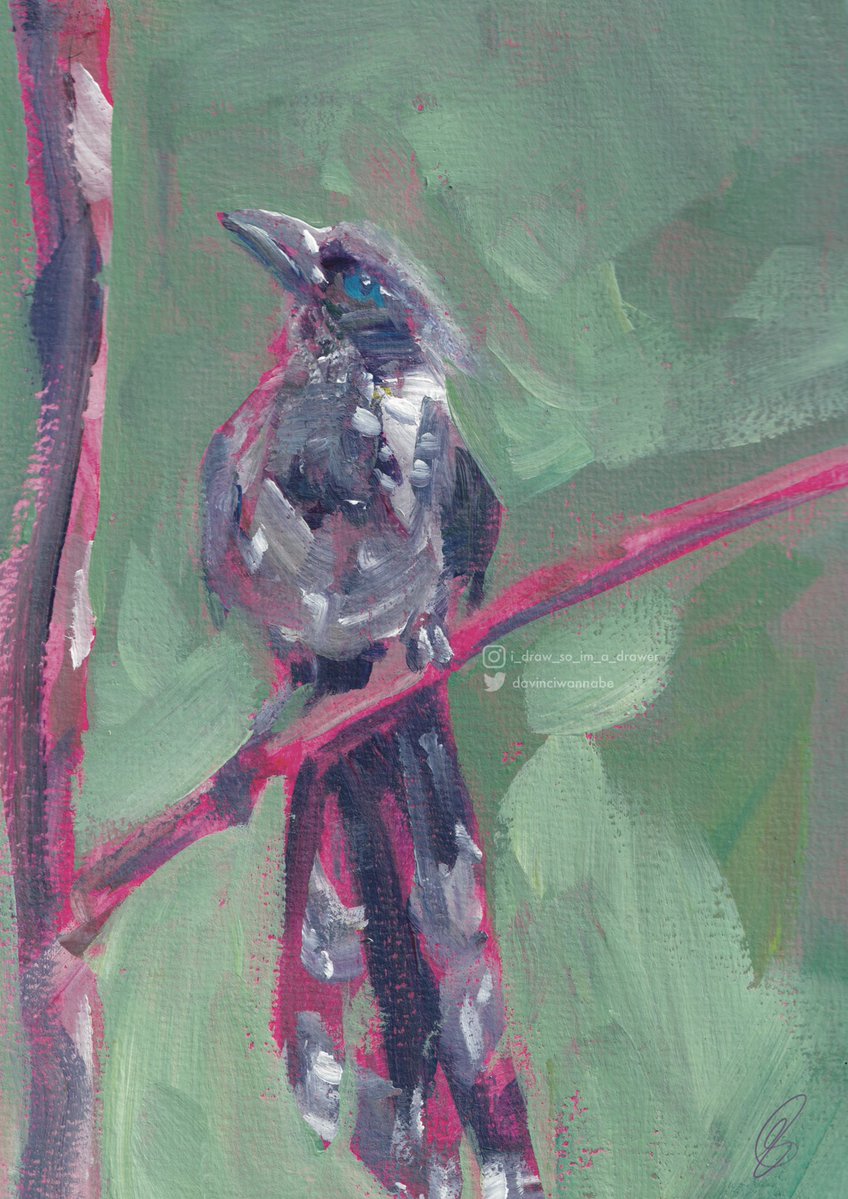 Bird