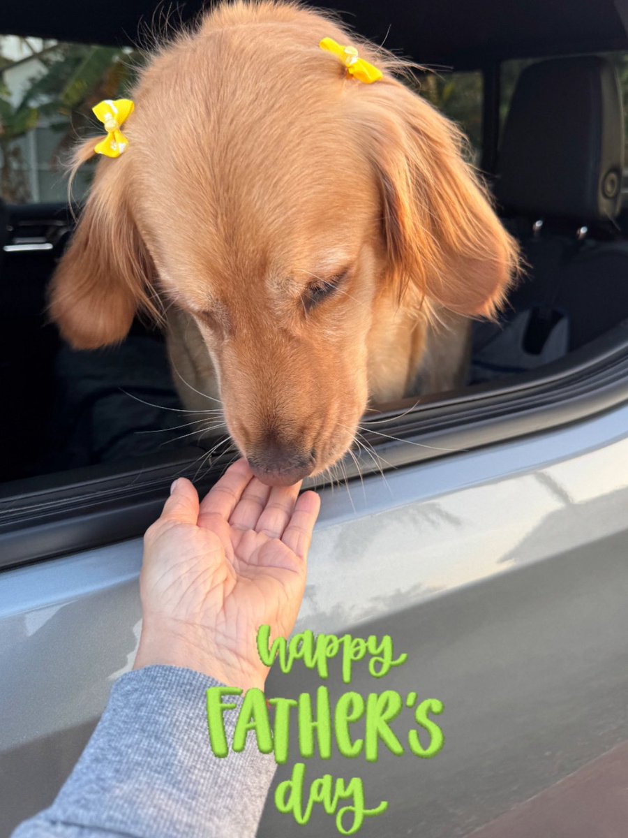 LasBrisaCarWash's tweet image. Happy Father’s Day🩵Feliz dia a todos los Padres👔 #lasbrisas #carwash #oilchanges #padres #father #dad #papá #felizdiadelpadre❤️ #family #workhard #miami #florida #usa #love #fathersday #day #enjoy #life Free🚘wash💦on your Birthday🎁