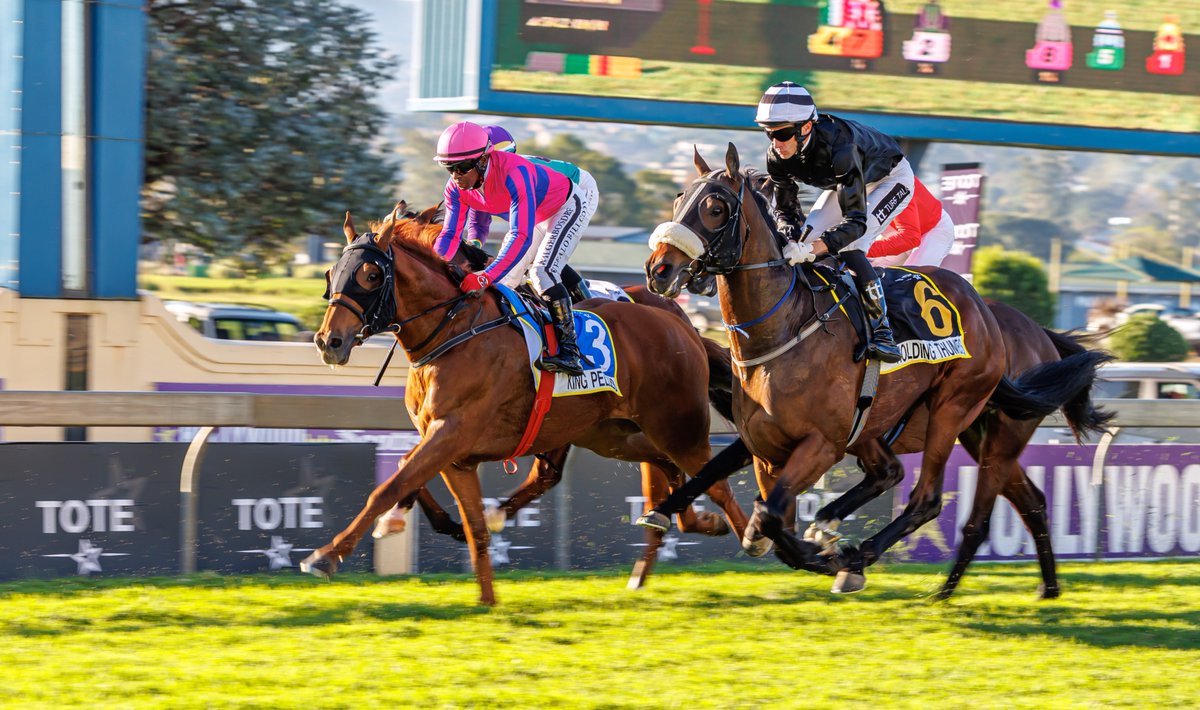 Drakenstein Stud continues to rack up Stakes winners this season, with King Pelles (by Duke Of Marmalade) becoming the latest to add to their impressive tally. His victory in the Gr3 TOTE Derby marked Drakenstein’s 27th Stakes win of the season.
tba.co.za/2025/06/15/ano…