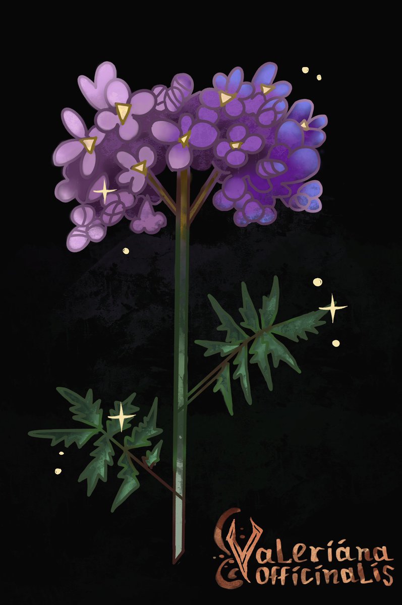 Нарисовала траву, которую всем нажо потрогать, а лучше попить в этой проклятой соцсети (это валериана)