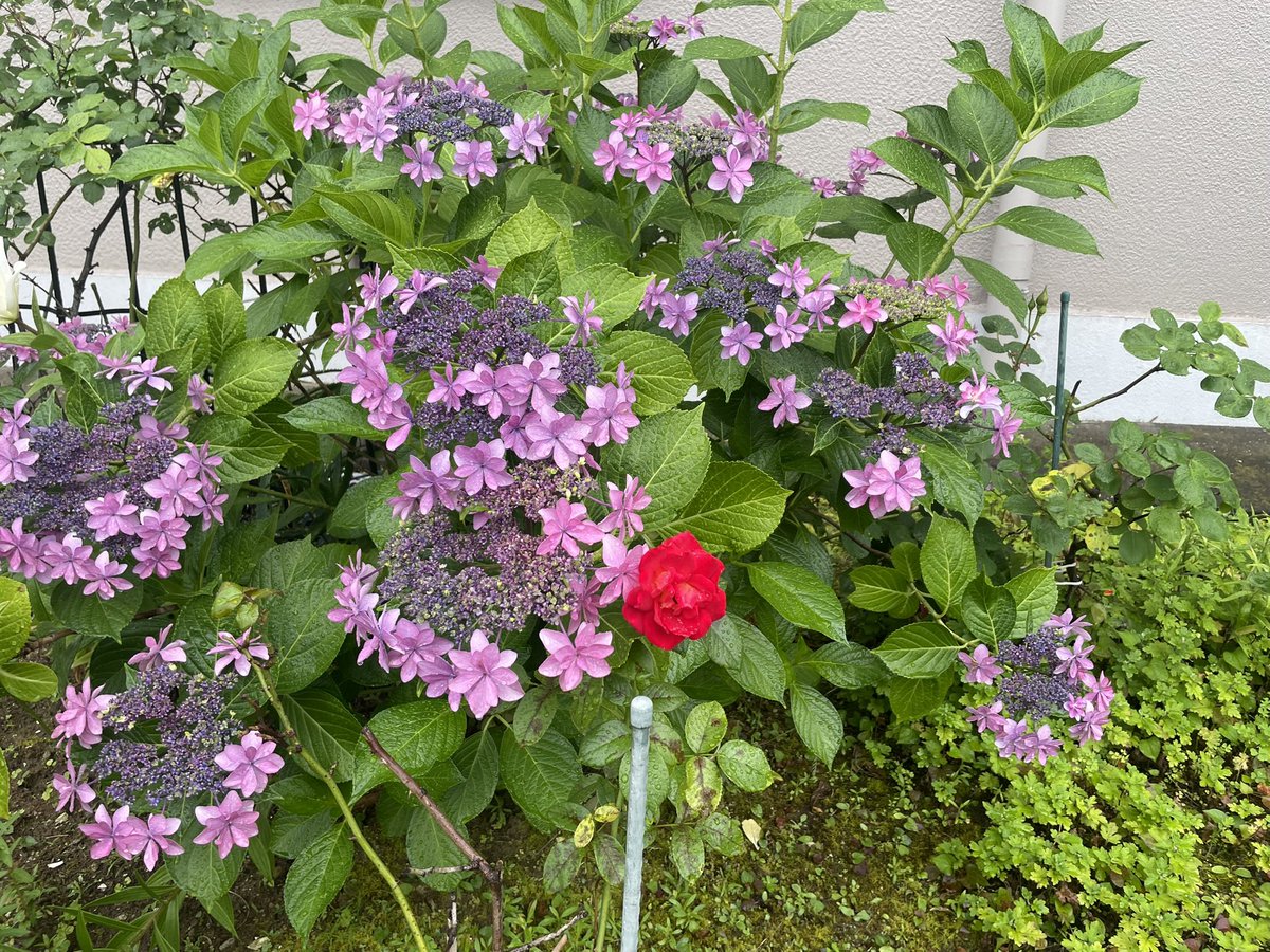 親の介護が始まった方にご理解頂きたいのは

高齢になっても認知症になっても「芯」は変わらないってことだ

何を観て喜び
何をして楽しみ
何が悲しみになるのか

何に満たされるのかって、多分若い時と変わらない

どうなると満たされないのかも変わらない

満たされない日々は命を縮める