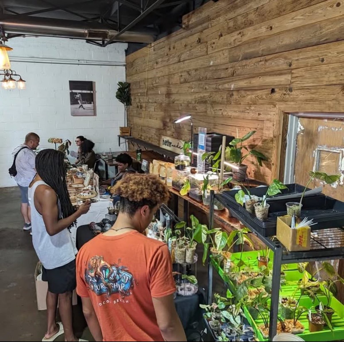 Today we’re celebrating Juneteenth and Pride month at the Baltimore Plant Swap -
A monthly exchange of plants, cuttings, and supplies on the 3rd Sunday of each month here at Peabody Heights.
🌿12p-5p
🌿Raffle, free, family &amp; dog friendly!
🥙by kosharycorner 
📸by terre_en_table